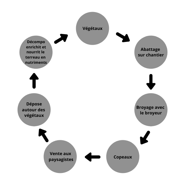 Le cycle de la géstion des déchets végétaux